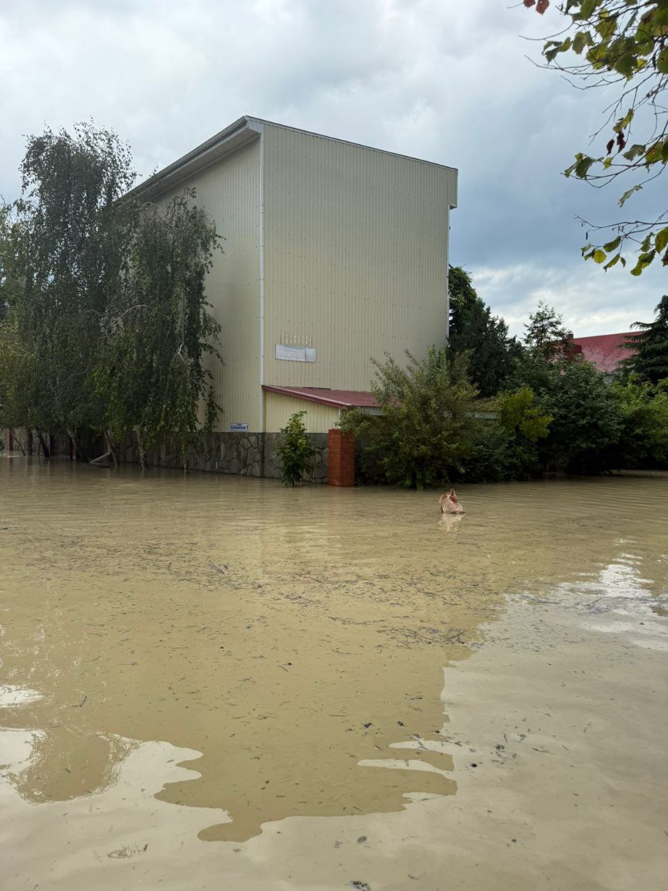 Наши коллеги из территориальных отделов работают в зоне ЧС в Туапсинском округе